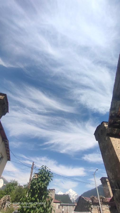 Shaulini Hotel Kashveti Bagian luar foto