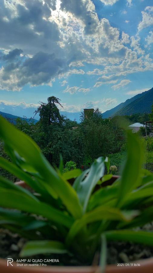 Shaulini Hotel Kashveti Bagian luar foto