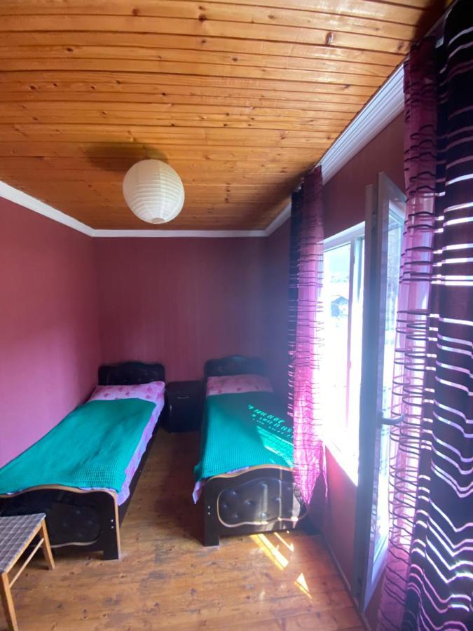 Shaulini Hotel Kashveti Bagian luar foto