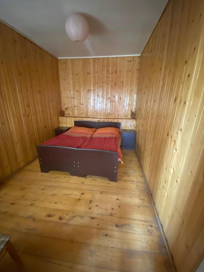 Shaulini Hotel Kashveti Bagian luar foto