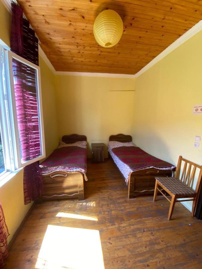 Shaulini Hotel Kashveti Bagian luar foto