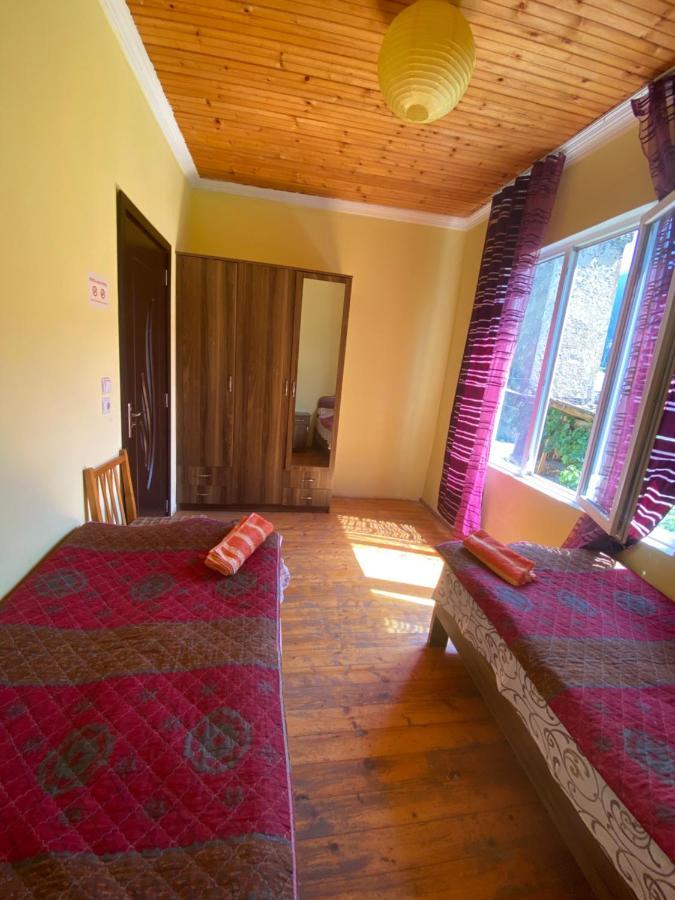 Shaulini Hotel Kashveti Bagian luar foto