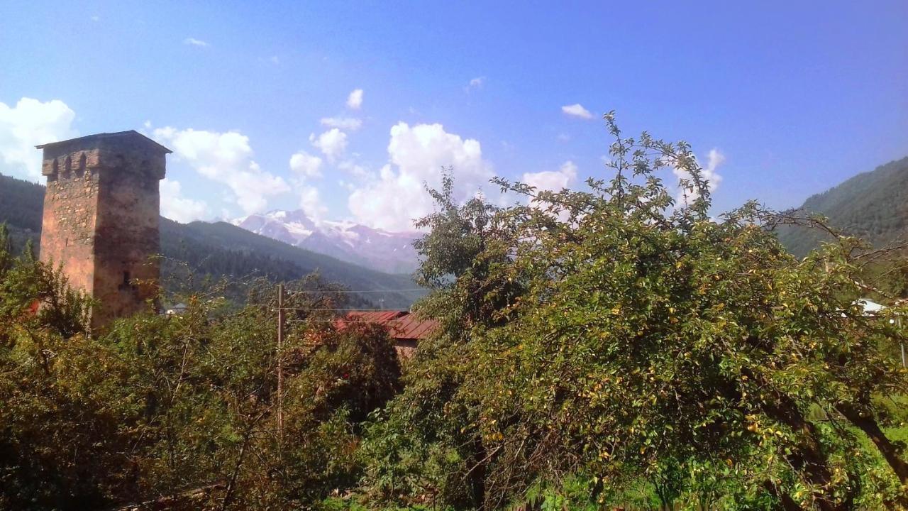 Shaulini Hotel Kashveti Bagian luar foto