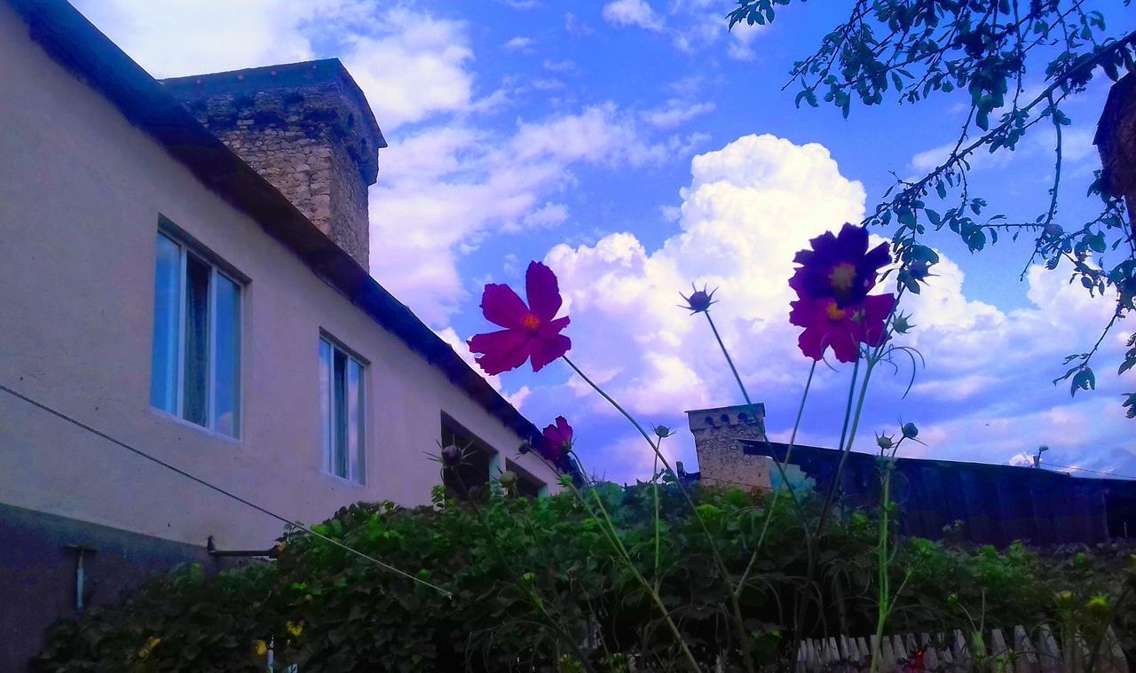 Shaulini Hotel Kashveti Bagian luar foto