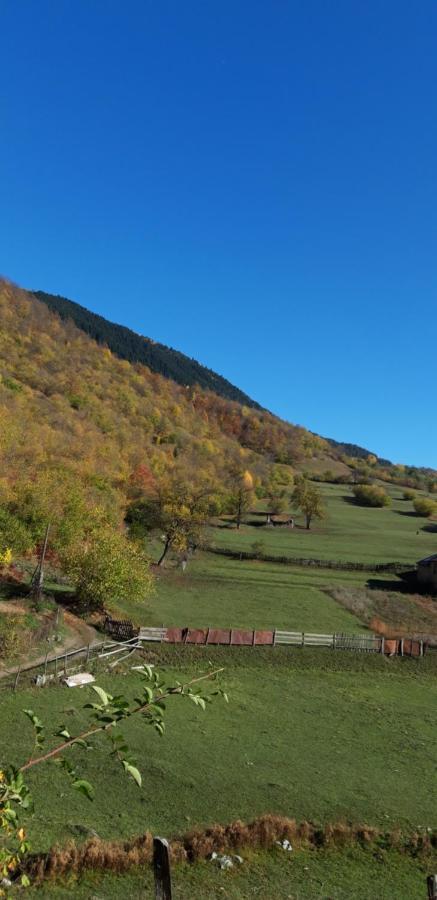 Shaulini Hotel Kashveti Bagian luar foto