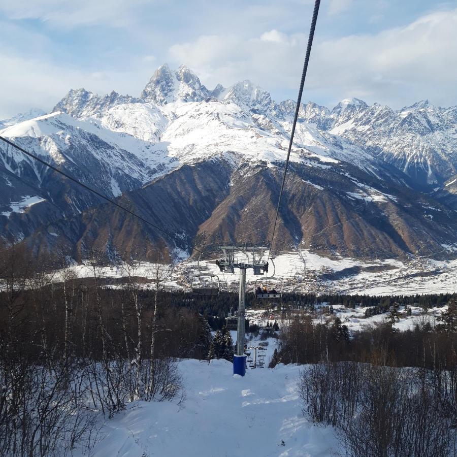 Shaulini Hotel Kashveti Bagian luar foto