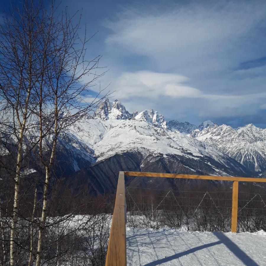 Shaulini Hotel Kashveti Bagian luar foto